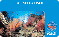 Padi-Scuba-Diver-Card