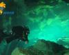 Diving_Cenote_022.jpg