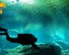 Diving_Cenote_031.jpg