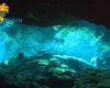 Diving_Cenote_038.jpg