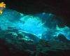Diving_Cenote_039.jpg