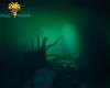 Diving_Cenote_063.jpg