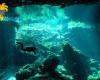 Diving_Cenote_064.jpg