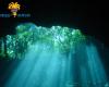 Diving_Cenote_065.jpg