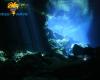 Diving_Cenote_071.jpg