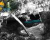 Diving_Cenote_073.jpg
