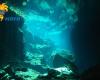 Diving_Cenote_082.jpg